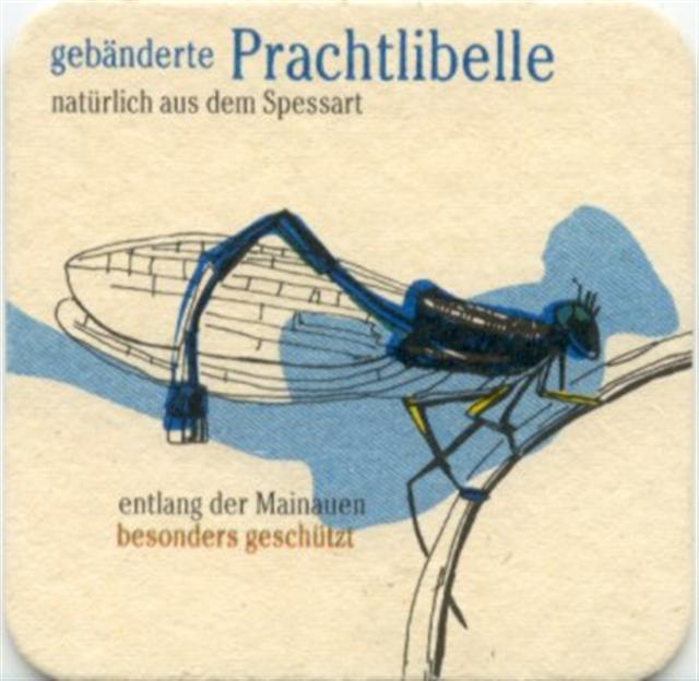 marktheidenfeld msp-by martins natür 1b (quad180-bebänderte prachtlibelle)